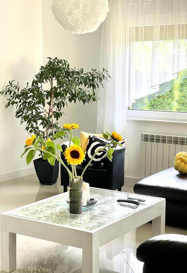 Villa U Gosi Zator Extérieur photo